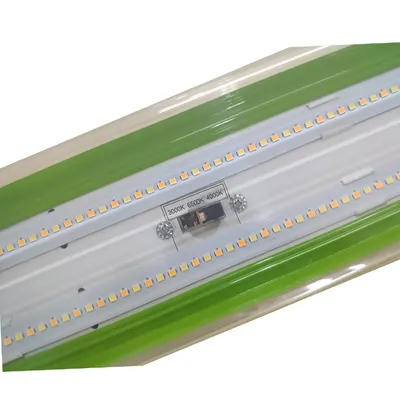 CCT Switchable IP65 Ik08 Tri-Proof Waterproof Dust-Proof Light
