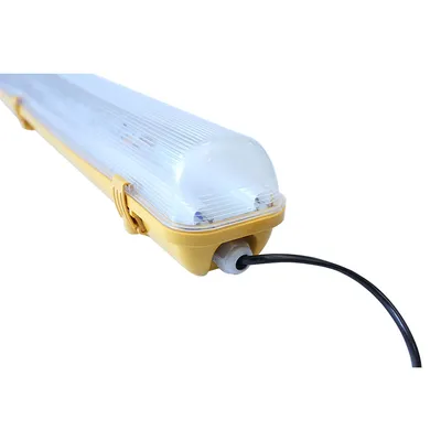 Emergency Version IP65 Ik08 Transparent Cover LED Linear Lighting Fixture Wall Lamp