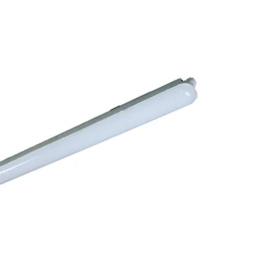 IP65 LED Water Proof Light with Microwave Sensor and Emergency Function LED Lighting Outdoor Light